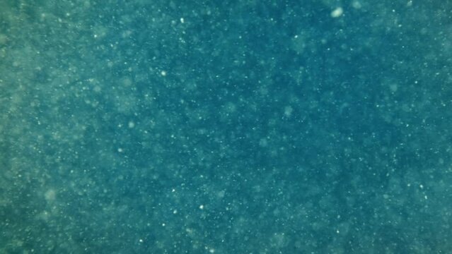 Abstract underwater background. Dirty water close up.