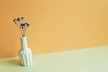 Vase of blue dry flowers on table. orange background