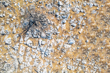 Burnt forest. Background and texture of mountain layers, clay, cracks, sedimentary rock and scorched spruce trees on cliff face. Drone, aerial view