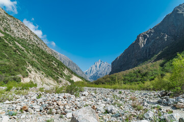 Fototapeta na wymiar Alpine narrow valley on a sunny summer day.
