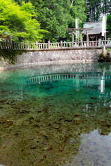 waterfall in the garden