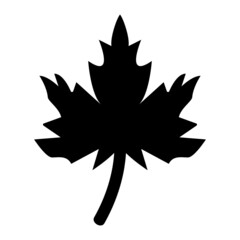 Maple Leaf Icon