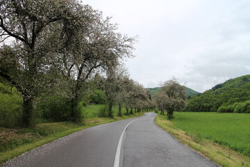 Fototapeta na wymiar Road from Sučany to Turčianska Stiavnicka in springtime, central Slovakia