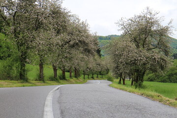 Road from Sučany to Turčianska Stiavnicka in springtime, central Slovakia