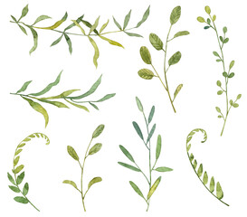 Collection of small tiny green twigs with leaves. Diverse botany illustrations isolated on white background. Hand painted watercolor leaves and branches