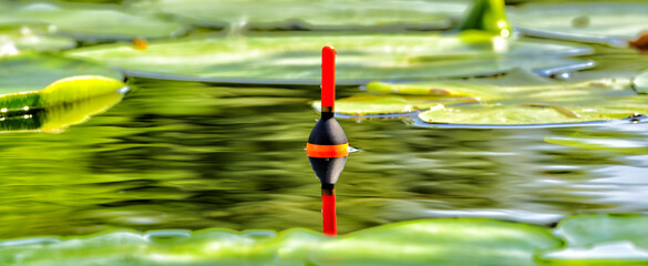 Fishing bobber in the lake among water lily © Artur