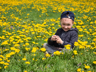 cheerful child on a green lawn with yellow dandelions