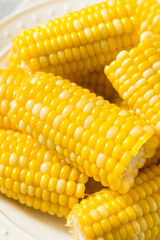 Homemade Steamed Sweet Corn on the Cob