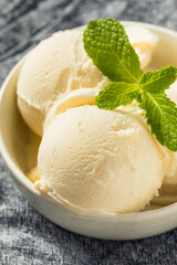 Homemade Frozen Vanilla Ice Cream
