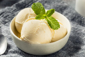 Homemade Frozen Vanilla Ice Cream