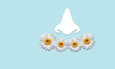 Paper of a nose and natural daisies on a blue background. Seasonal allergies concept.