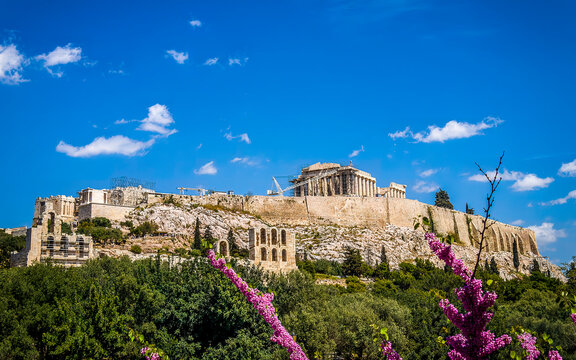 Parthenon temple on Acropolis of Athens, Greece, was one of the seven wonders of the world in antiquity. Judas tree flowers say hello spring, during a sunny day with some tiny clouds in the sky.