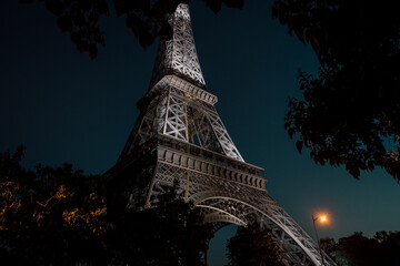 Eiffel Tower Surrounded by Trees in Paris, France at Night - 505715166