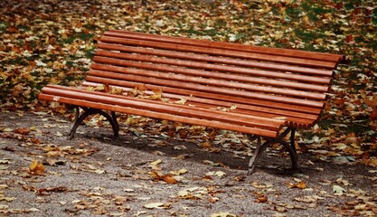 bench in the park