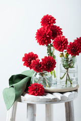 Red amazing flowers dahlias