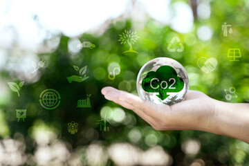 Net Zero and Carbon Neutral Concepts Net Zero Emissions Goals Weather neutral long-term strategy.