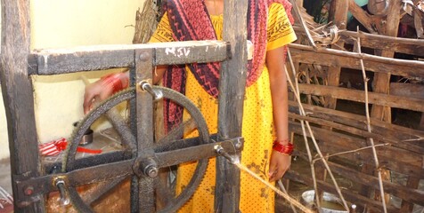 Coir or Coconut Fiber for making ropes. Coir made in small scale industry in Tamil Nadu India....