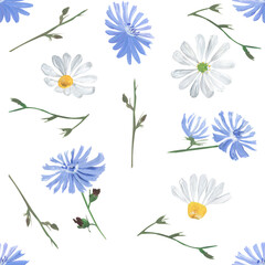 Seamless pattern with chamomile and chicory