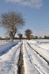 Path under the snow in Brittany