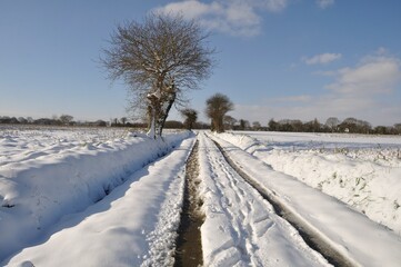 Path under the snow in Brittany