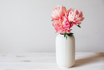 Beautiful bunch of fresh Coral Charm peonies in full bloom in vase against white background. Copy space for text. Minimalist floral still life with blooming flowers.