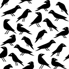 Fototapeta premium Seamless pattern with black birds