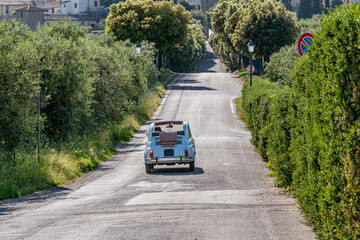 A vintage Italian Fiat 500 convertible car drives along a typical Tuscan tree-lined avenue,...