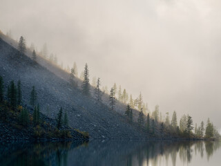 Morgensilhouetten spitzer Tannenspitzen am Hang entlang des Bergsees im dichten Nebel. Alpine ruhige Landschaft am frühen Morgen. Dunkle gespenstische atmosphärische Landschaft.