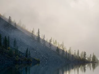 Wall murals Forest in fog Morning silhouettes of pointy fir tops on hillside along mountain lake in dense fog. Alpine tranquil landscape at early morning. Dark ghostly atmospheric scenery.
