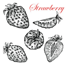 Strawberry. Berries . Black and white stock illustration. Sketch. Hand drawn. Isolated. Engraving. Tattoo. Great for vegetarian food labeling, packaging and design