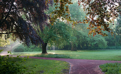 A former castle garden in Oldenburg in the early morning. A path leads to a meadow with some bushes and trees. Sunbeams shine through the foliage