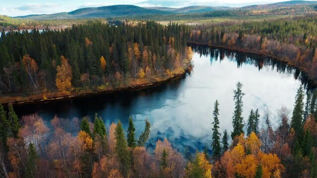 Aerial view of the forest and river in Kola Peninsula in Russia. Flight over the river of Lotta in arctic area during autumn sunny day