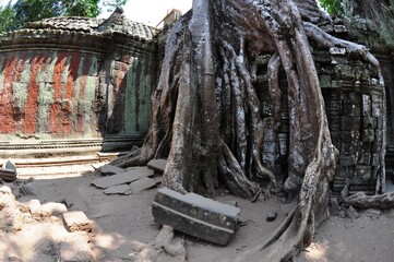 Temple 90
