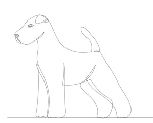 dog drawing in one continuous line, isolated, vector