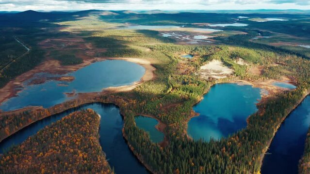 Aerial view of the forest and rivers in Kola Peninsula in Russia. Flight over the river of Lotta in arctic area during autumn sunny day