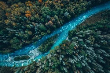 Fotobehang Bosrivier Drone aerial top view of montain river and forest