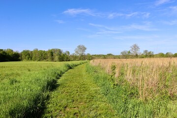 Fototapeta na wymiar The long empty grass trail in the countryside field.