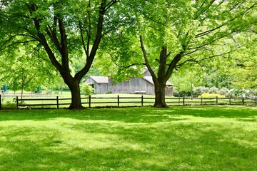 The old wood barn under the spring trees in the country.