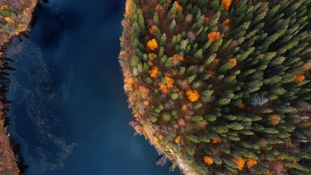 Aerial view of the Lotta river located on Kola Peninsula in Russia
