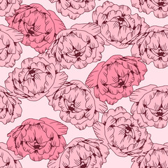 Hand drawn pink pattern peony flower, isolated on white. Vector line art elegant floral seamless composition in vintage style, t-shirt, tattoo design, wedding decoration.