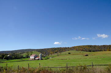 Fototapeta premium Farm with Green Grass and Blue Sky