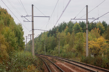 Fototapeta na wymiar Turning electrified railway tracks passing among dense forest