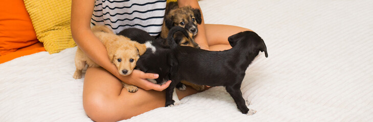 Young woman playing with puppies while sitting on the bed
