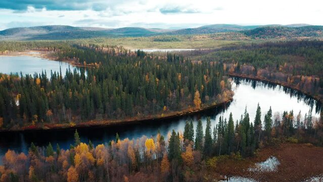 Aerial view of the forest and river in Kola Peninsula in Russia. Flight over the river of Lotta in arctic area during autumn sunny day