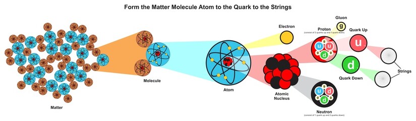 Form the matter molecule atom to the quark to the strings infographic diagram smallest particles for quantum physics science education study matter energy fundamental level vector scheme chart