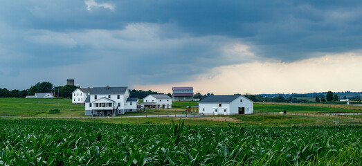 Obraz premium Corn Field with an Amish Farm in the Background | Amish Country, Ohio