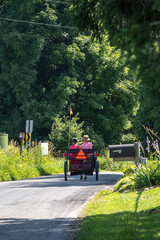 Young Amish Boy and Girl Riding away from Camera in a Pony Cart | Holmes County, Ohio