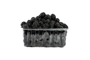 Blackberry in plastic container on white background