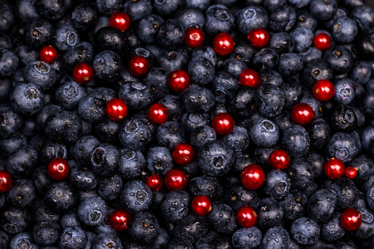 berries background. Ripe blueberry and red currant top view flat lay image.