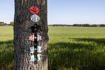 Corona-Masken, die jemand irgendwo an einem Feldweg an einen Baum genagelt hat